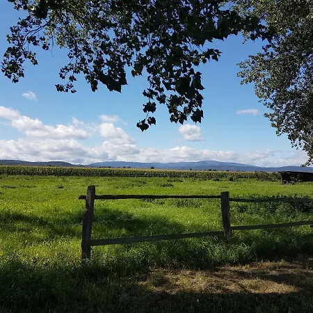 Wanderlust Apartament Ilsenburg